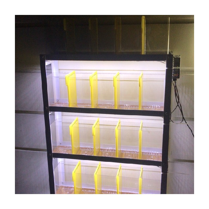 Dijual rak cupang set dengan lampu LED - Hitam PLT =60x14x75cm Murah