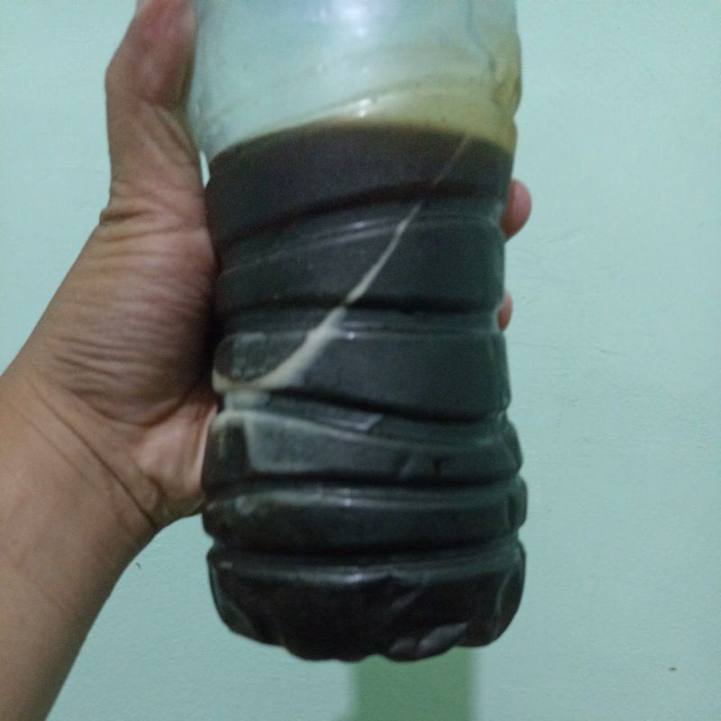 

Madu Hitam Asli Hutan Acacia