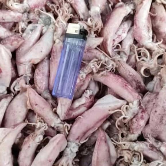 

[COD] Cumi Asin 250 gram [COD]
