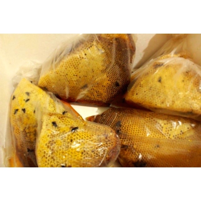 

02 Madu Honey Life 640Ml Ds51Ghg