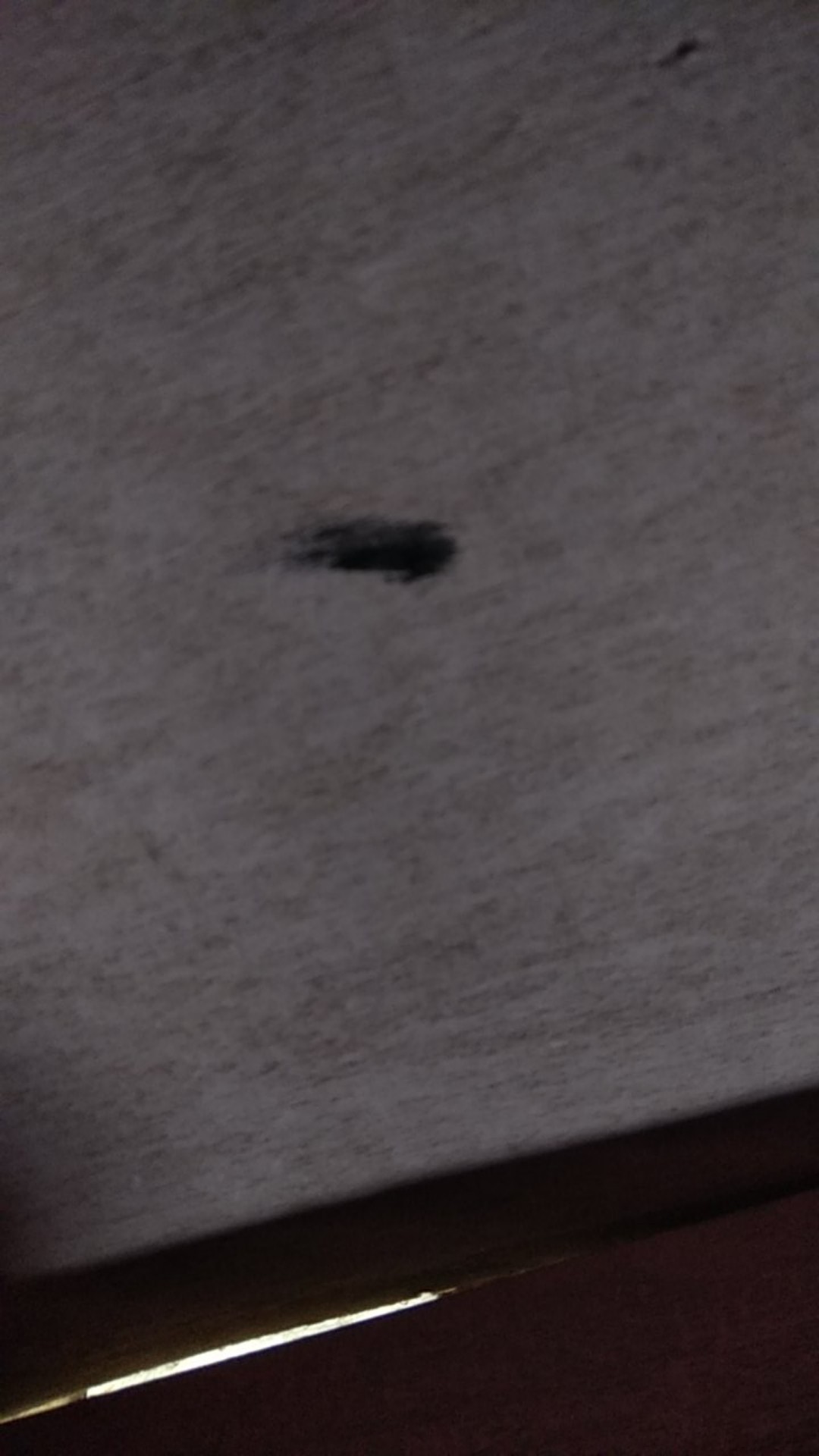 Kit Body Semprot Multi Guna 100ml