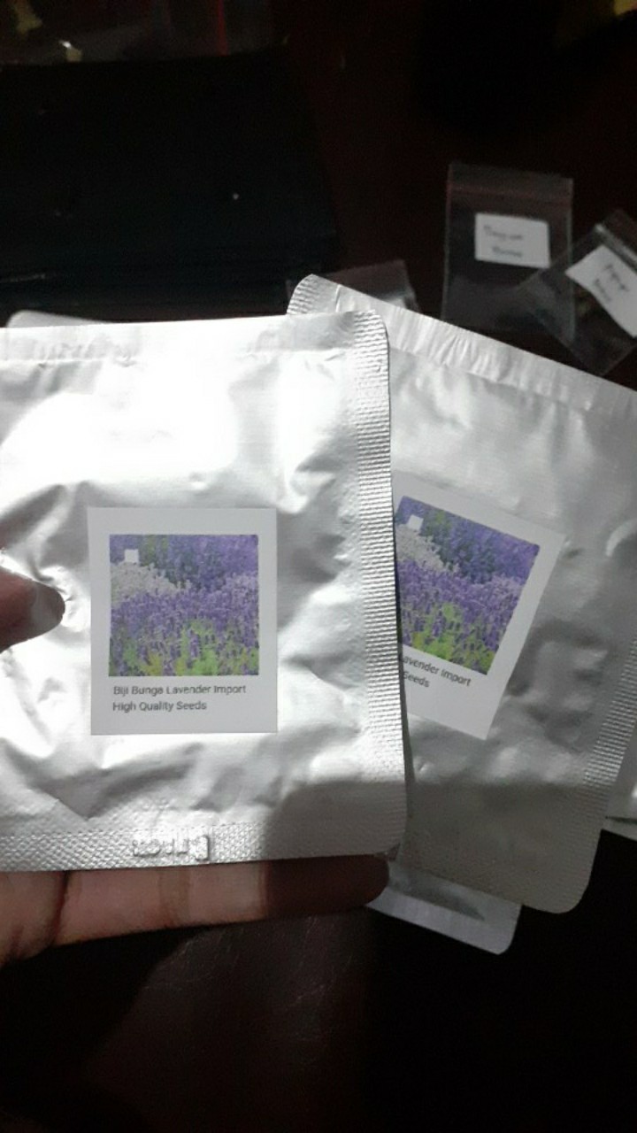 Biji Bunga Lavender Import High Quality Seeds