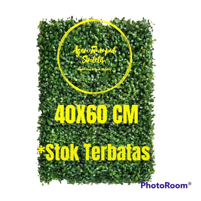 ALLS DAUN RAMBAT SINTETIS 40X60 CM - DAUN DINDING SINTETIS - DAUN DOLAR SINTETIS - DAUN RAMBAT