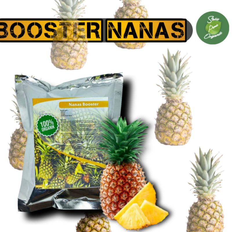 Mokilo43 Pupuk Perangsang Pelebat Buah Nanas, Booster Organik Tanaman Buah Nanas, Dan Memperbesar