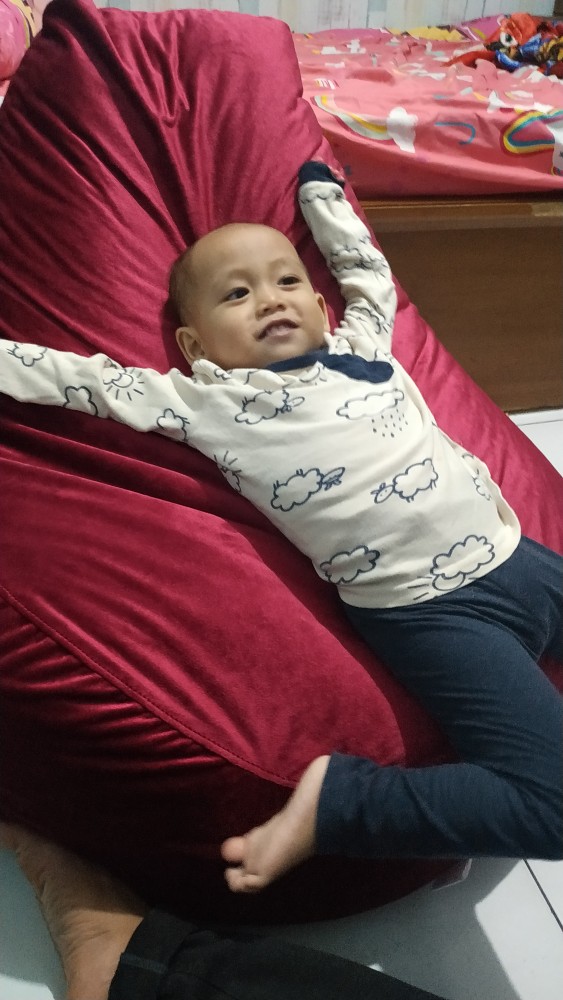 Bean Bag Size L Dan Xl Komplit Isi