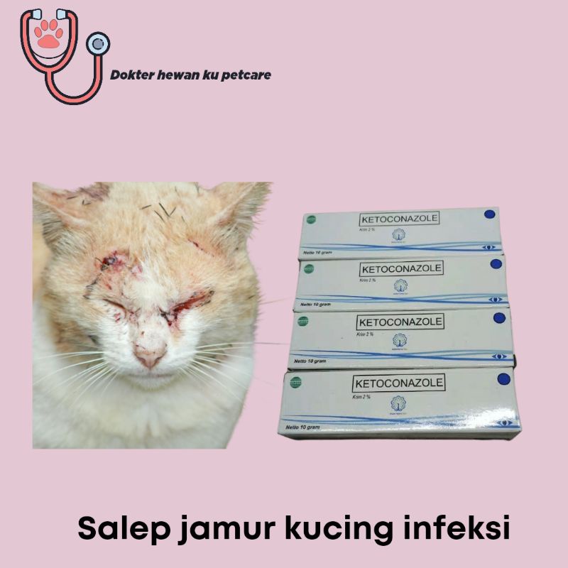 paket obat jamur kucing oral dan topikal/MANJUR/AMPUH