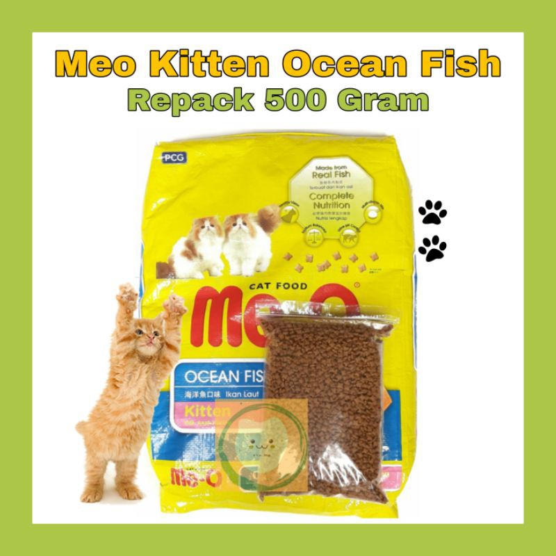 Jual Meo Kitten Ocean Fish 500 Gram Makanan Anak Kucing Indonesia ...