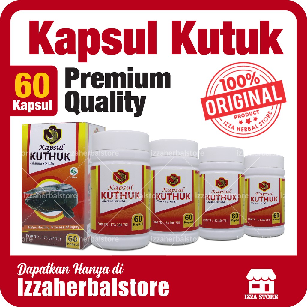 KUTHUK 60 Kapsul Ikan KUTUK PREMIUM Albumin Ikan Gabus Original Izin BPOM Obat Herbal Pengering Luka