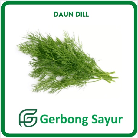 Jual Daun Dill / Daun Adas Segar 500gr | Shopee Indonesia