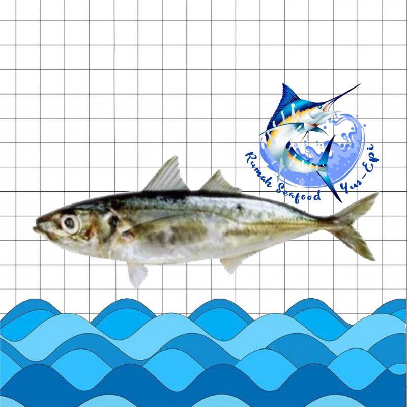

Ikan Layang - rumahseafoodyusepi