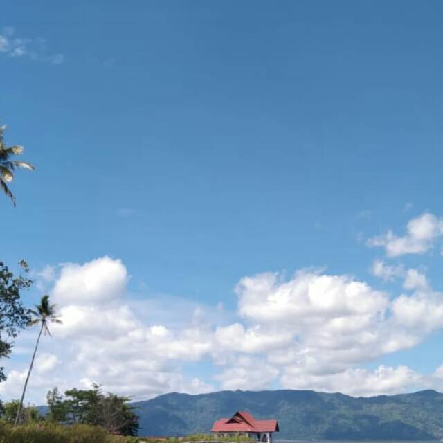 trisyawidiastuti24