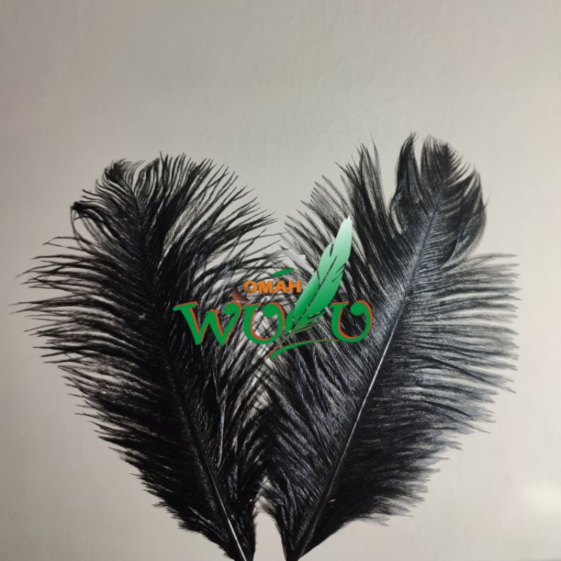 Bulu ostrich untuk bahan aksesoris per helai