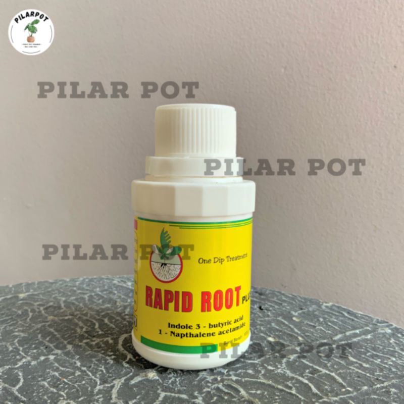 RAPID ROOT 100GR  hormon pertumbuhan akar dan merangsang akar -ZPT(zat pengatur tumbuh)