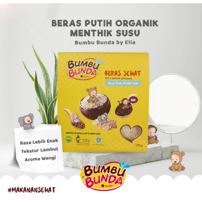 Beras Bumbu Bunda Elia Penambah BB Berat Badan Nutrisi Tinggi