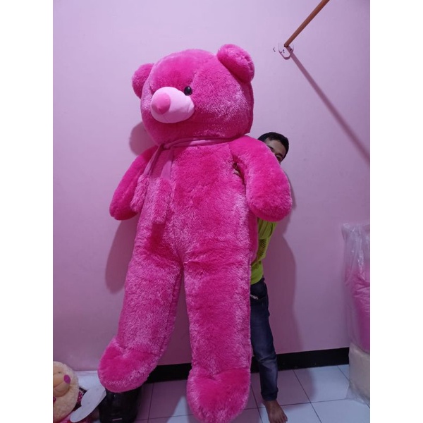Boneka Beruang Teddy Bear Jumbo Super-Super Jumbo Pink Fanta 1,6meter 160cm Costum Nama