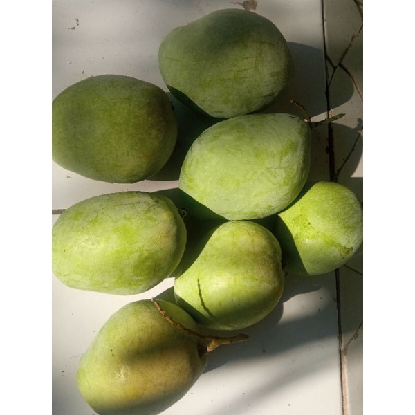 

Mangga Cengkir Super Indramayu 500 Gr