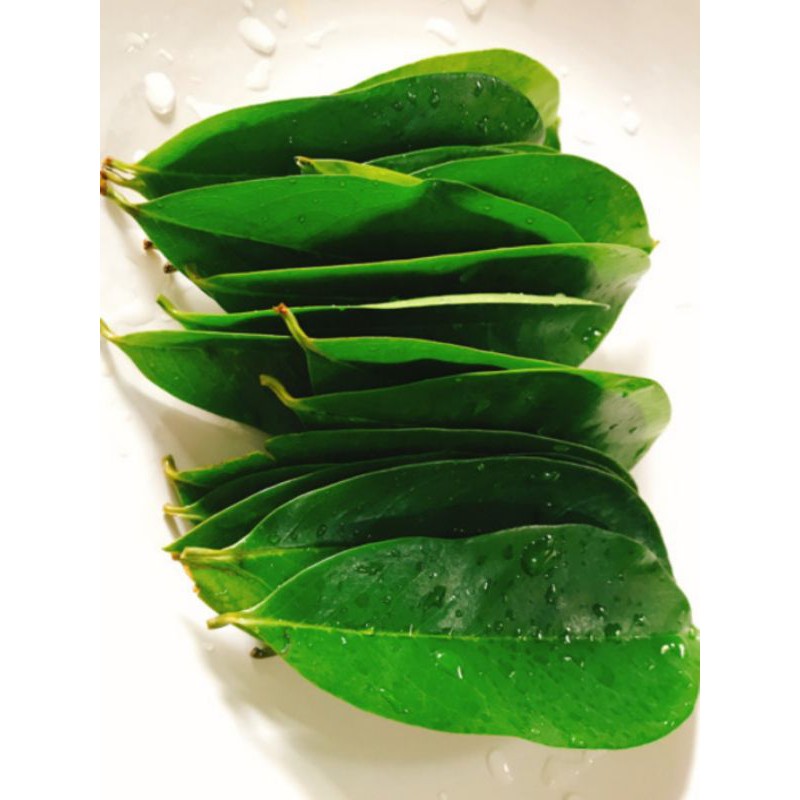 

Daun Sirsak Segar Obat Herbal