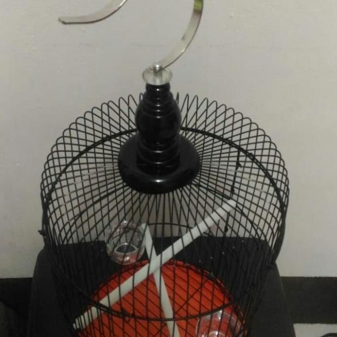 TERBARU|NEW STOCK|READY STOCK|BIG SALE SANGKAR PLECI SANGKAR BURUNG KECIL SANGKAR BULAT SANGKAR BESI