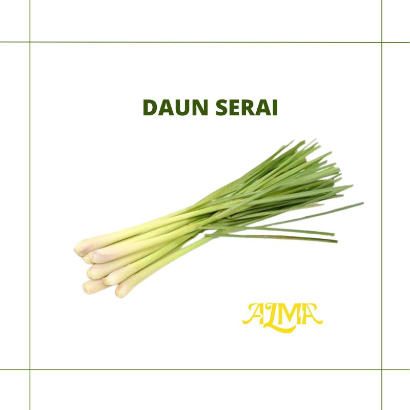 

Daun Serai
