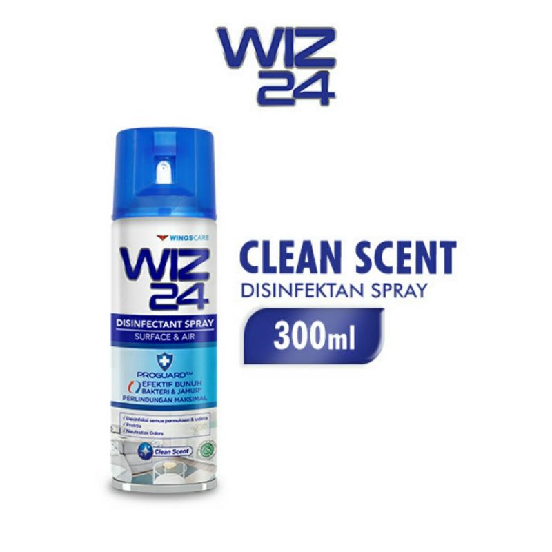 WIZ 24 Disinfectant Spray Aerosol - 300 ML