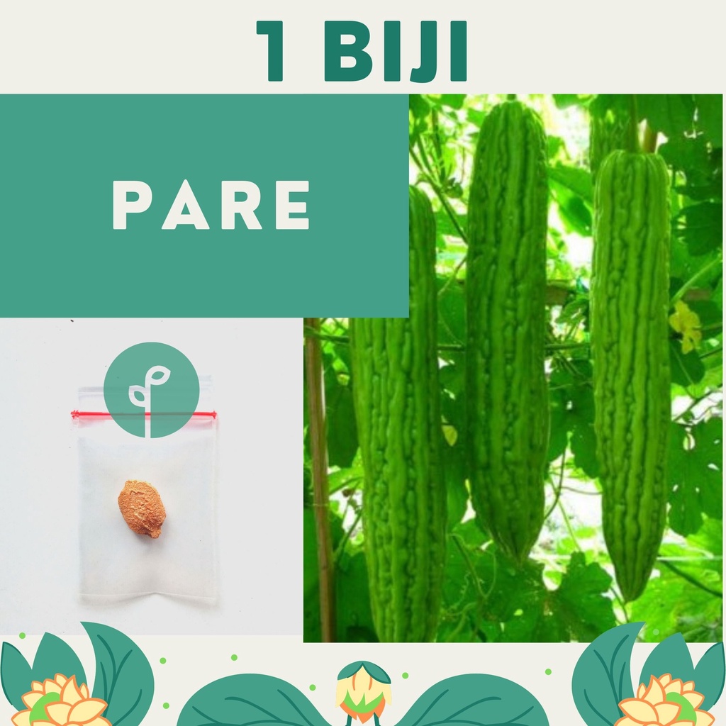 Bibit Sayuran Benih Sayur Paket Lengkap Hidroponik Kangkung Bayam Cabe Sawi Selada Terong Tomat dll-PARE