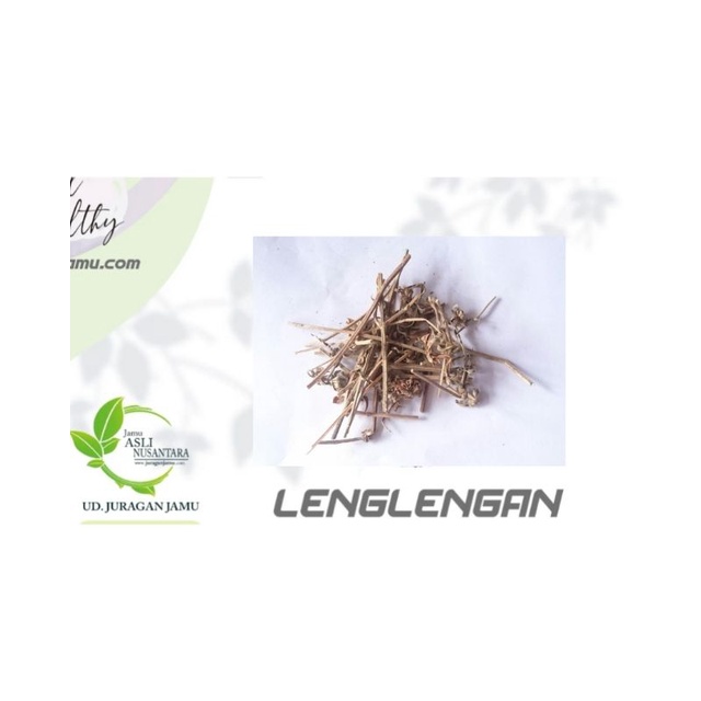 

Lenglengan kering merdinah, daun setan, lingko-lingkoan, lenglengan, nlenglengan / plengan sarap nornor gofu hairan