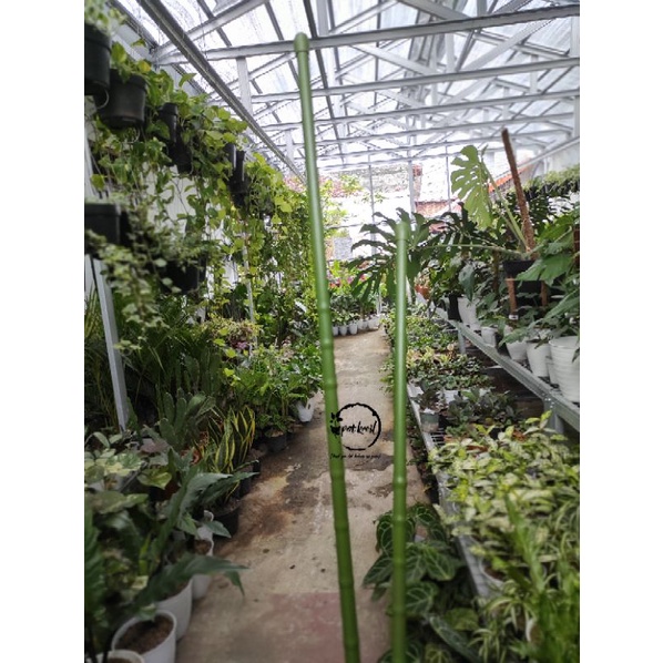 Turus Besi 180 cm / Tiang Rambatan Tanaman 180 cm / Planting Stake