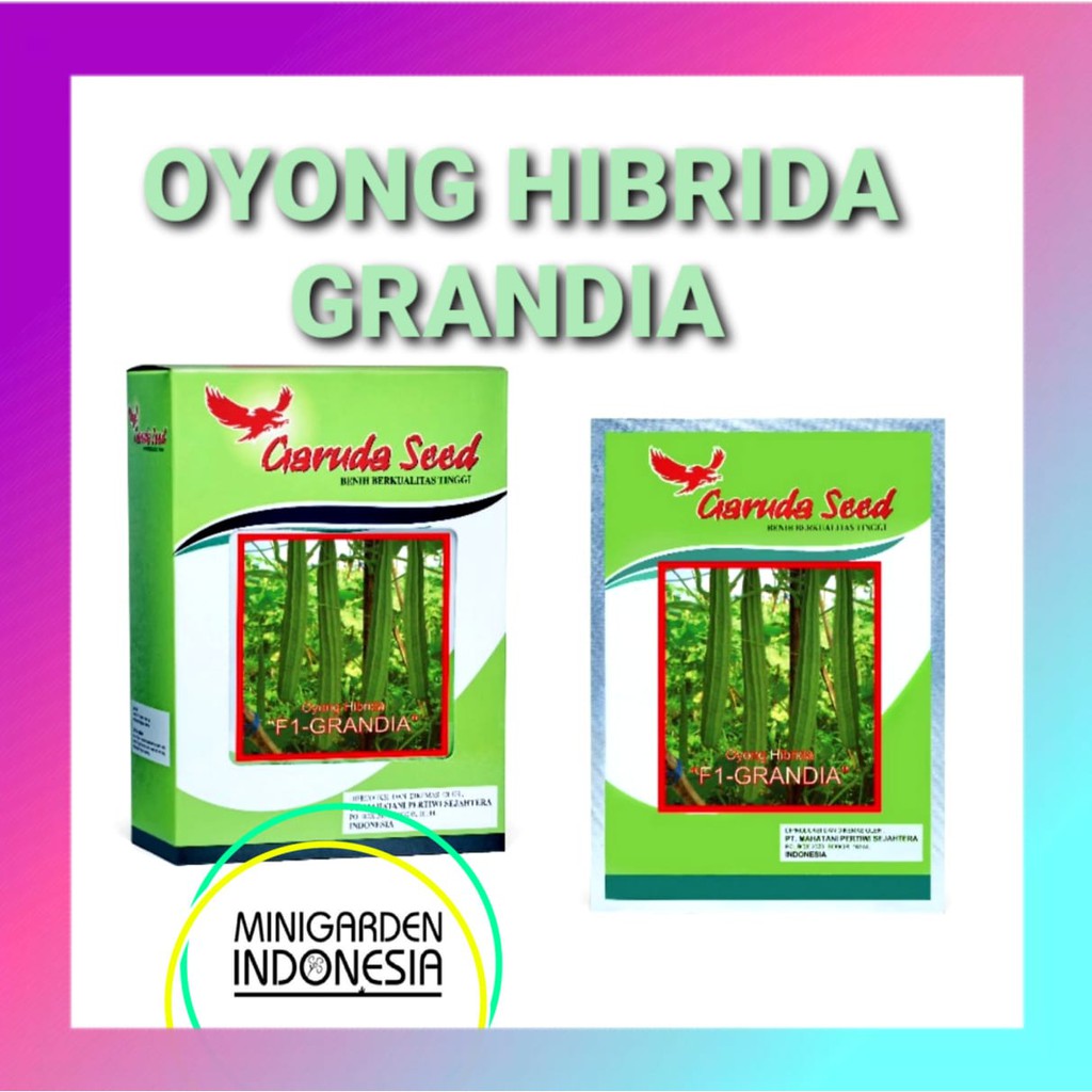 OYONG HIBRIDA F1 GRANDIA PACK 10 GRAM BENIH BIBIT garuda seed sayur gambas unggul hidroponik ±75 Bj