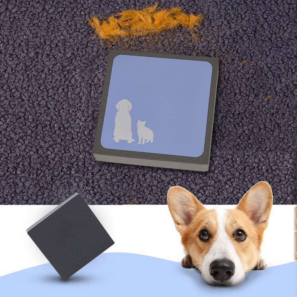 Sikat Spons Pembersih Bulu Hewan Peliharaan Shopee Indonesia