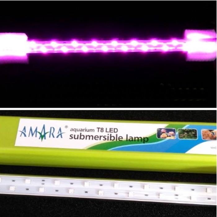 Lampu Celup Aquarium Amara T8 Led 600 60cm 60 cm Tanning Taning Arwana