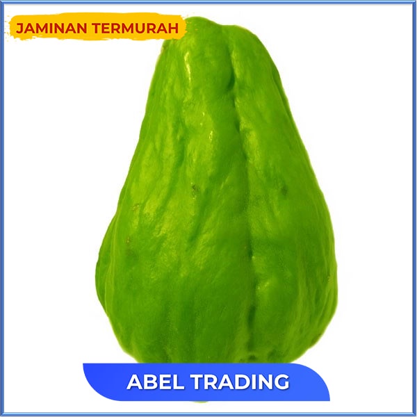 

LABU SIAM BESAR 260 gr