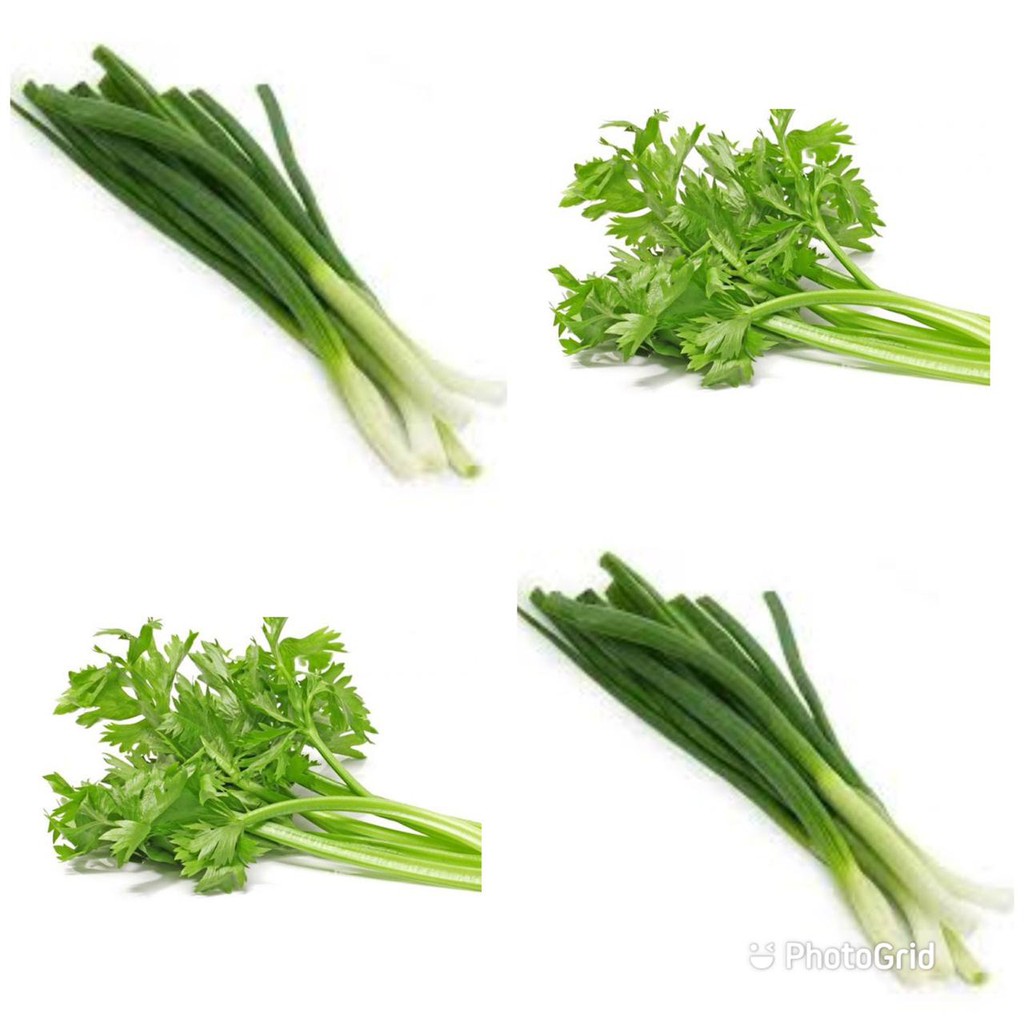 

Daun Bawang , Seledri