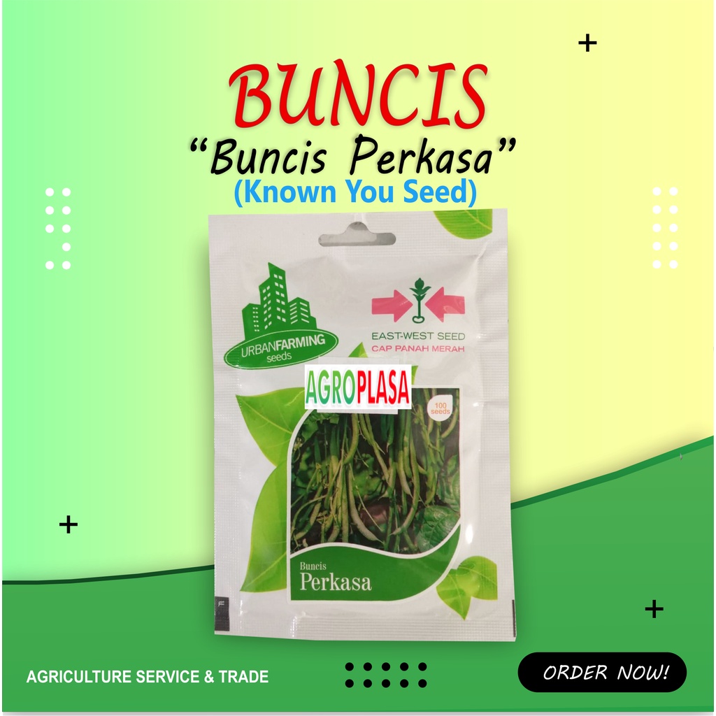 Benih Buncis Perkasa - Cap Panah Merah