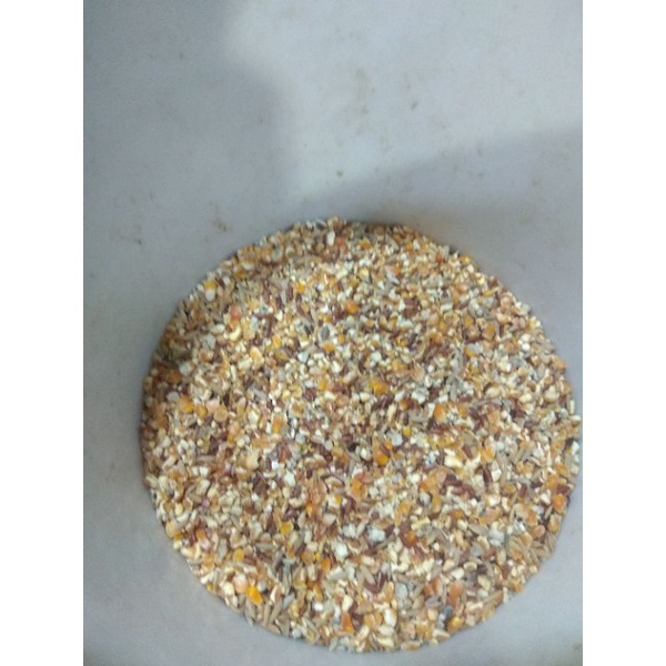 JAGUNG CAMPUR SUPER PAKAN BURUNG MERPATI ATAU PAKAN TEKUKUR,PUTER READY