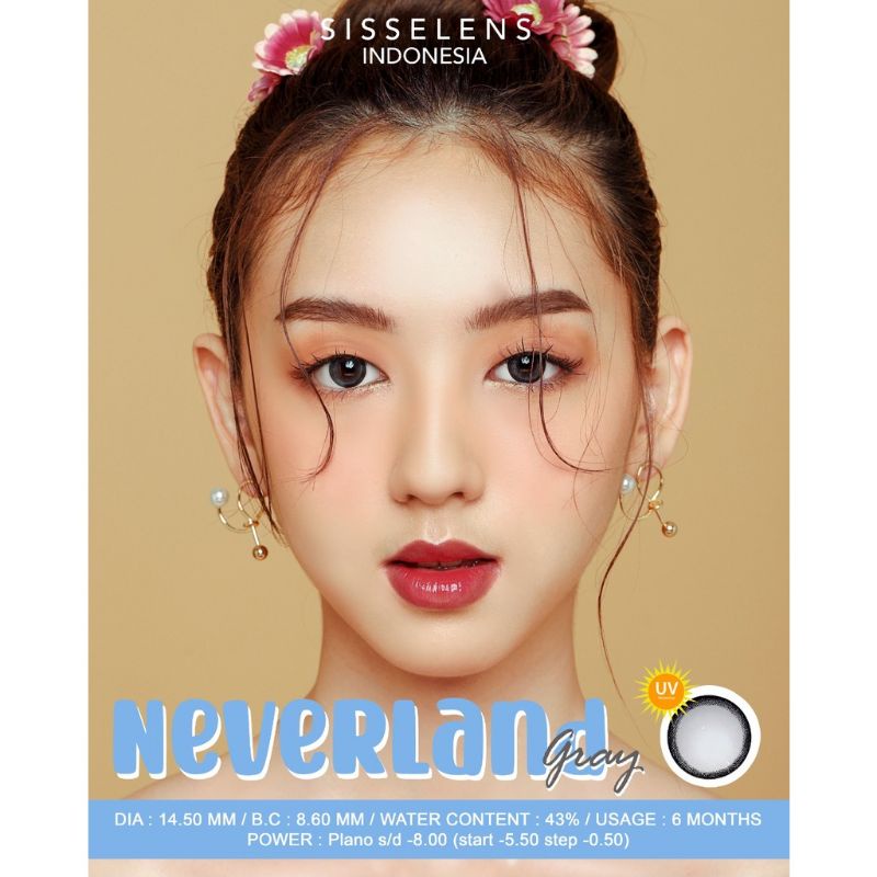 SISSE LENS NEVERLAND SOFTLENS GRAY BROWN Normal s/d -500