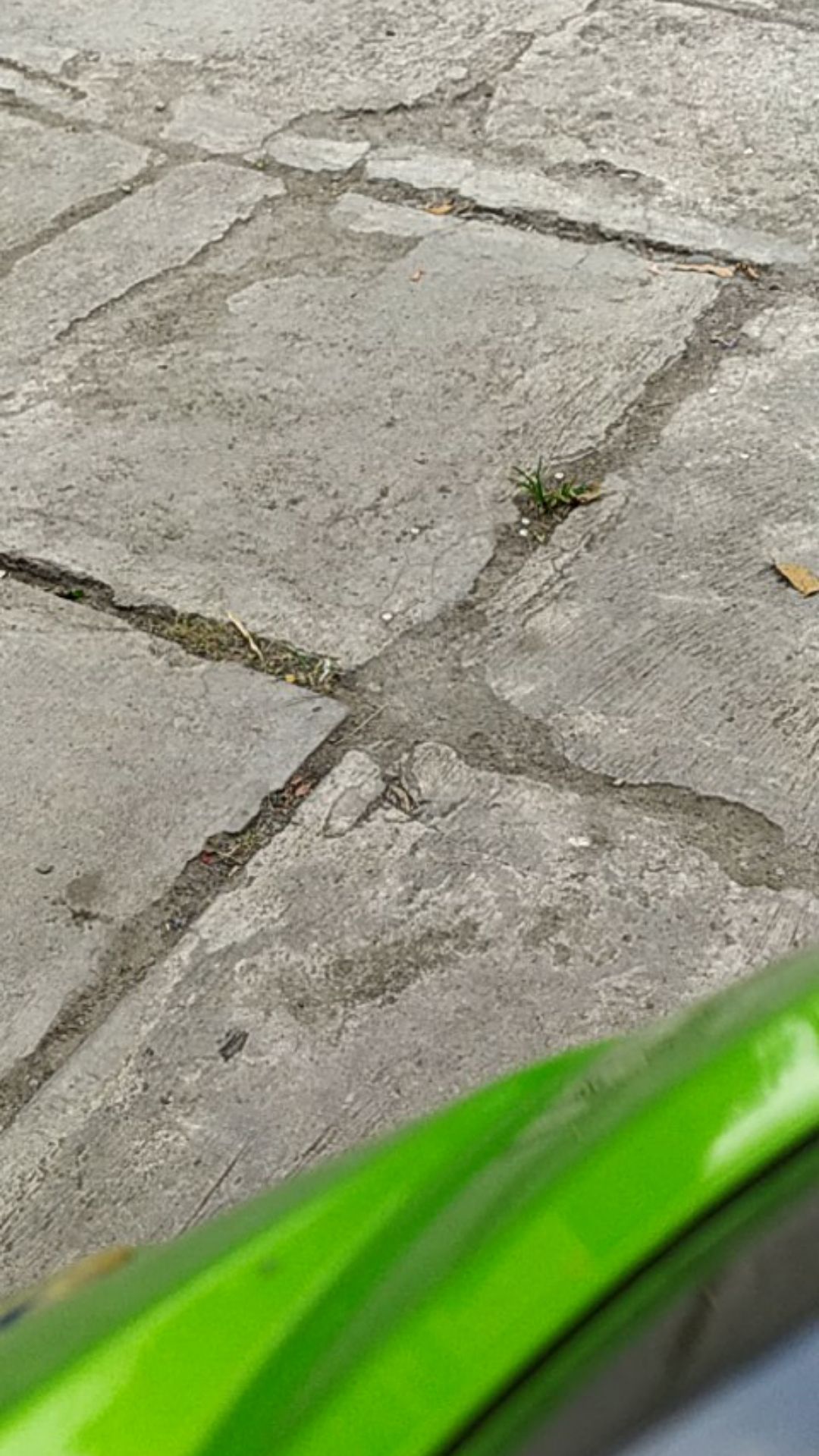 Tas Kantong Plastik Air Jerigen Lipat Water Tank Portabel 5 Liter 5l