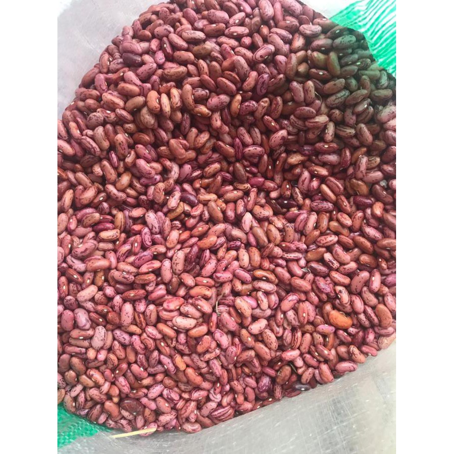 

Kacang merah organik, bersih sortir 500gr