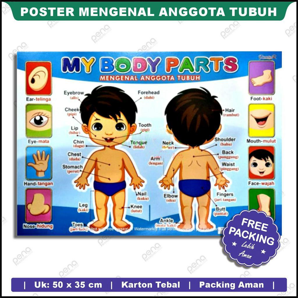 POSTER ANAK EDUKASI MENGENAL BAGIAN TUBUH/PARTS OF THE BODY