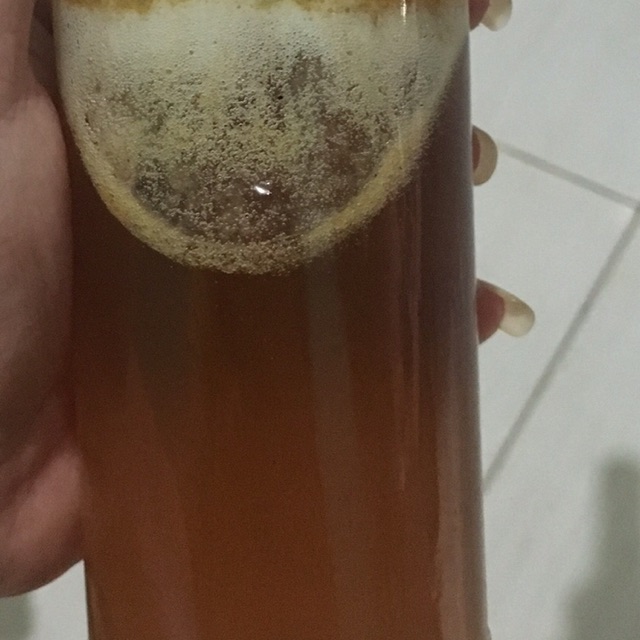 

madu hutan asli