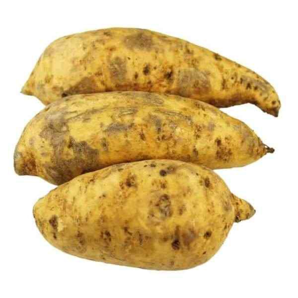 

Cilembu sweet potato / Ubi Cilembu 1000gr