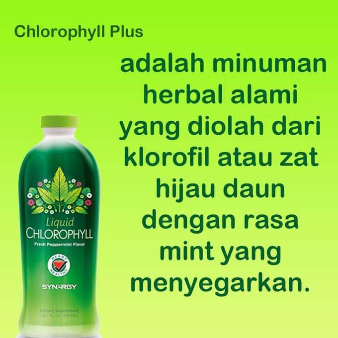 864u675 A Herbal Obat Hipertensi Dan Vitamin Daya Tahan Tubuh Dan Otak