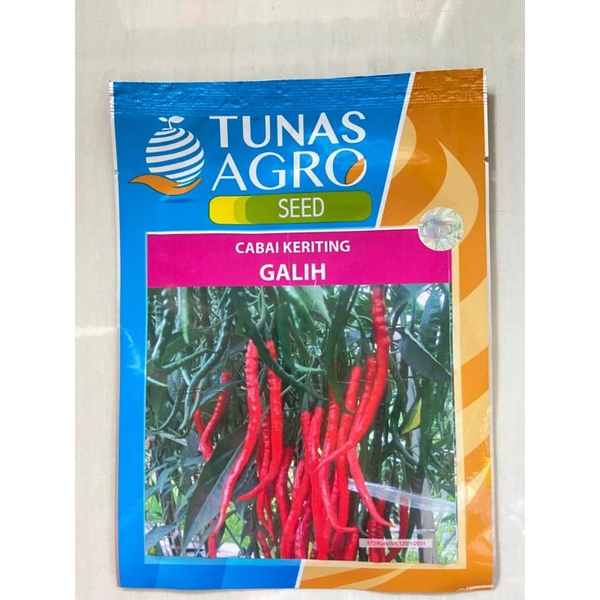 CABAI KERITING GALIH TUNAS AGRO