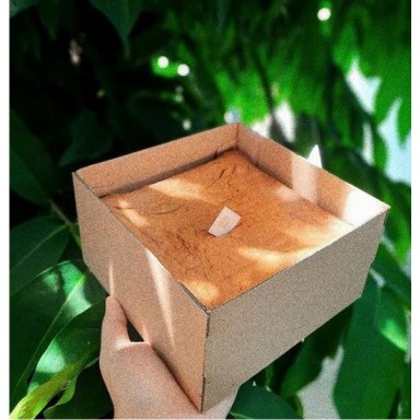 

18x18x10 Polos :U/mandarine cake/kue/pudding/hampers/gift/kado/DLL