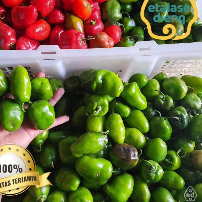 

✨ 7.7 Cabe / Cabe Gendot / Cabe Dieng / Cabe Gendut / Habanero / Cabe Fresh / Cabai / 1Kg / 0,5 Kg produck terlaris