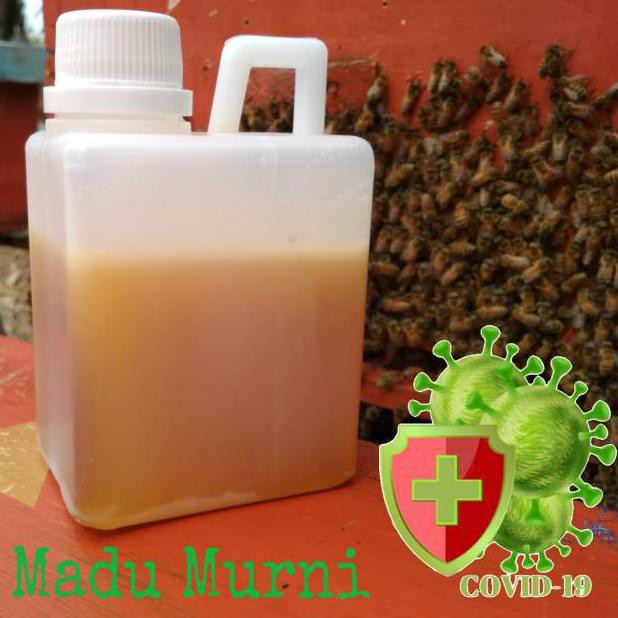 

BISA COD 500GR Madu Randu Murni Raw Honey Madu Mentah Asli PROMO SPECIAL [Kode 1|Kode 2|Kode 3|Kode