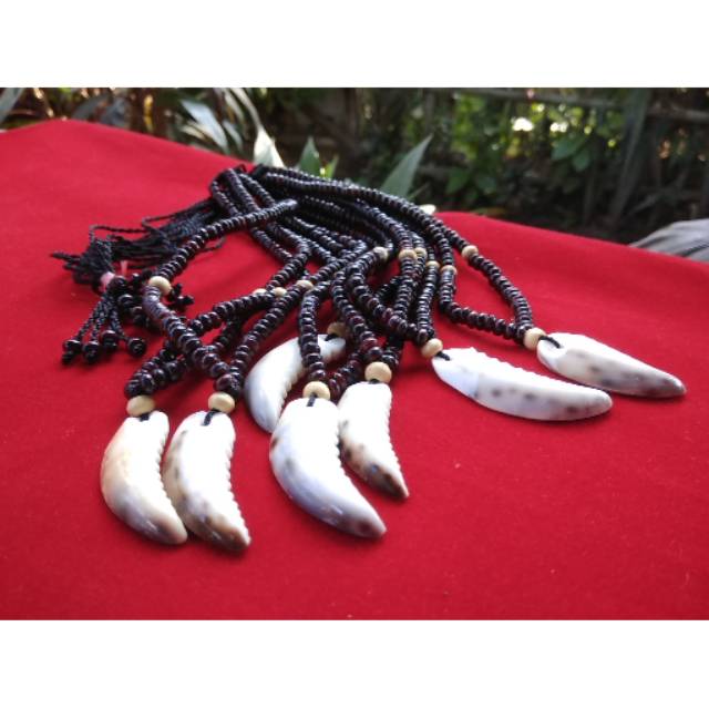 Kalung Tempurung Kelapa Liontin Kulit Kerang