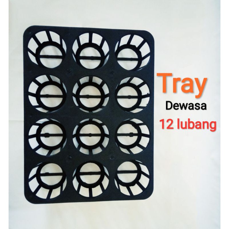 Tray Pot 12  lubang tray anggrek pot anggrek pot semai