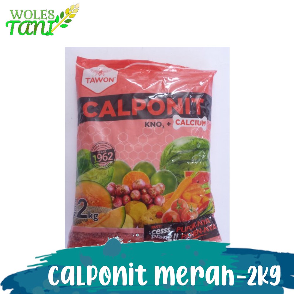 KNO3 Merah Cap Tawon Calponit Merah 2 Kg