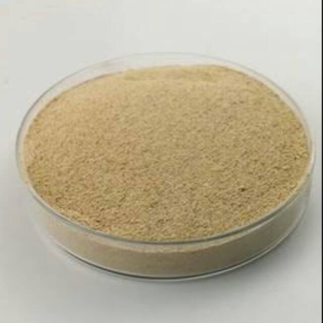 Saccharomyces cerevisiae formulasi bubuk