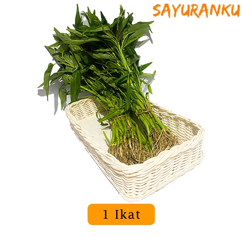 

Kangkung 1 ikat